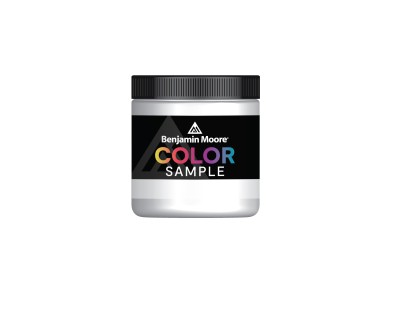 Benjamin Moore Half Pint Color Sample