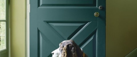 Jack Pine Door