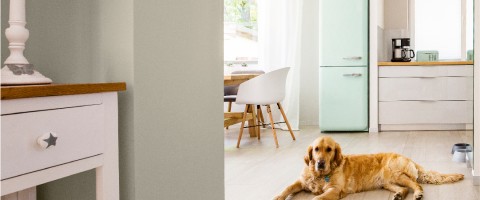 Gray Otter Bead Board Walls