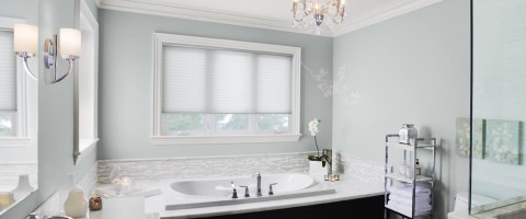Summer Shower Bathroom