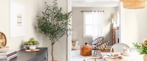 Pale Oak in Dining Room, Image from Havenly
