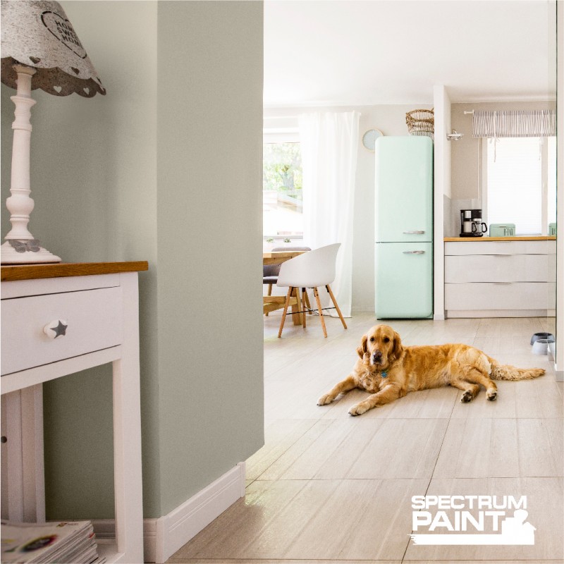 Gray Otter Bead Board Walls