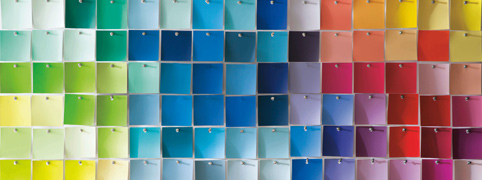 Find Your Color
