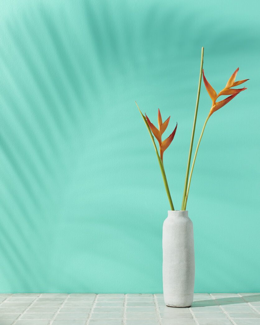 south beach paint ideas